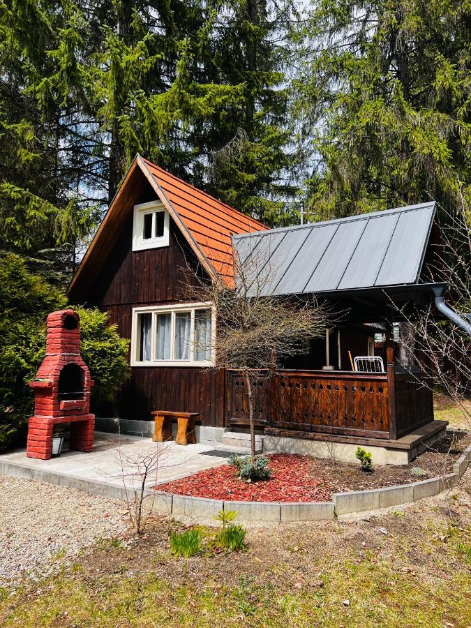 Cabana Adrienne Izvoru Mureşului Extérieur photo