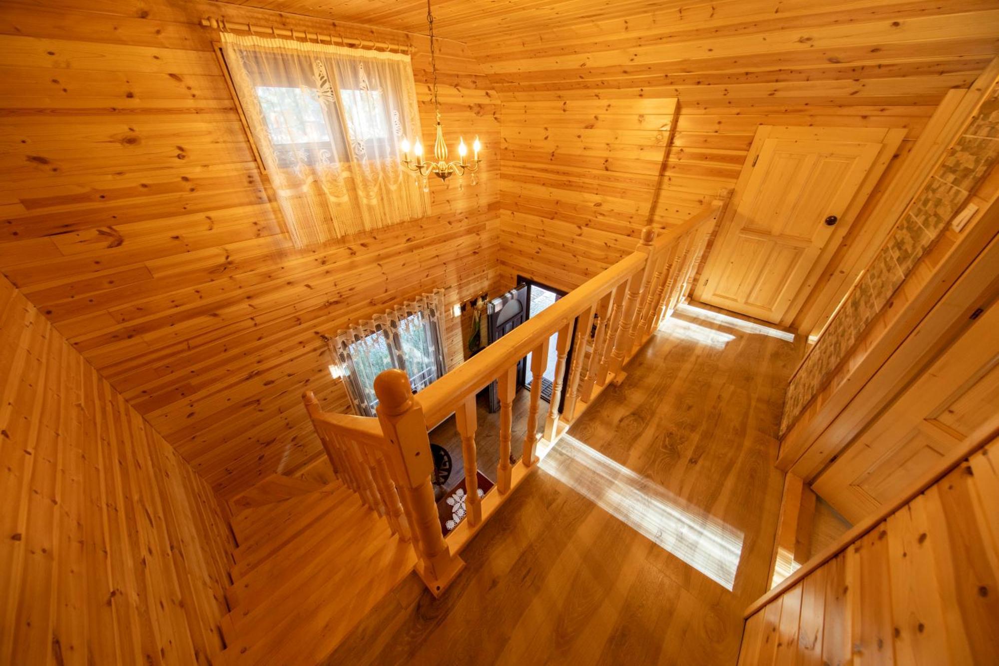 Cabana Adrienne Izvoru Mureşului Extérieur photo