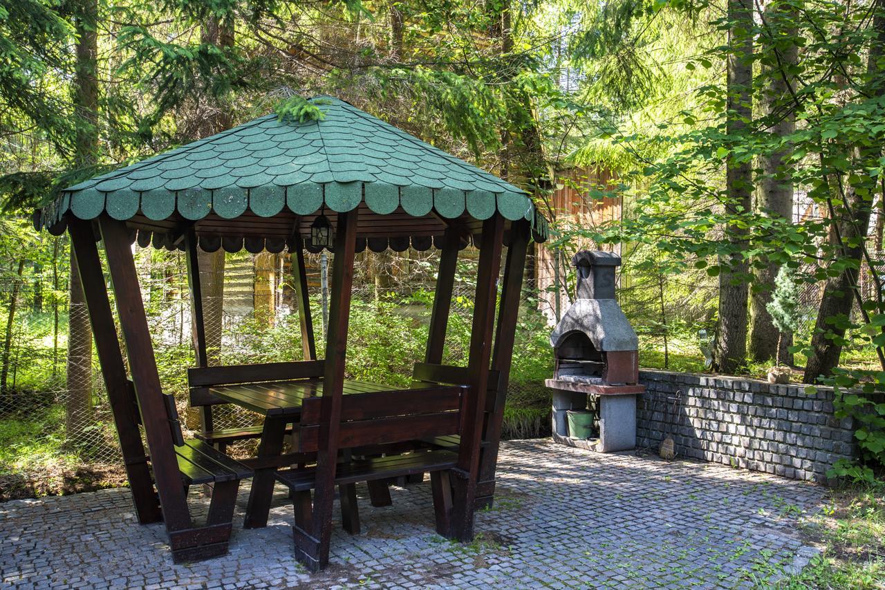 Cabana Adrienne Izvoru Mureşului Extérieur photo