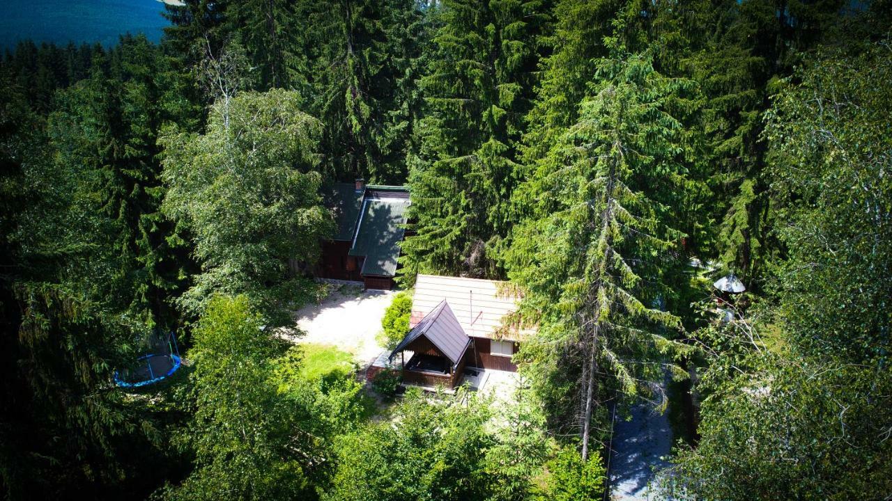 Cabana Adrienne Izvoru Mureşului Extérieur photo